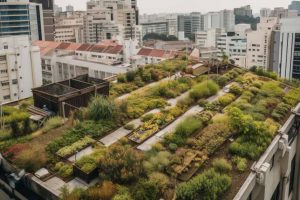 绿色屋顶和垂直花园